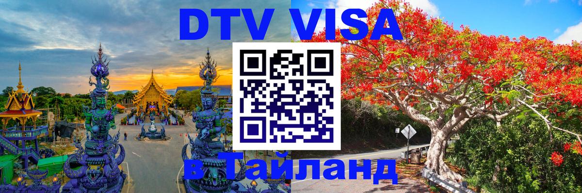Оформление DTV визы под ключ: стоимость и тарифы, только загранпаспорт - 